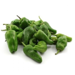 Pimento Padrón