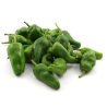 Pimento Padrón