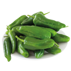 Pimento Padrón