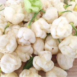 Moruga Scorpion White 10 seeds