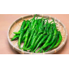 Kacha Morich Bangladeshi কাঁচা মরিচ - 10 sementes