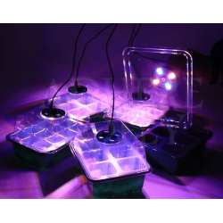 Kit Germinação 2 Bandejas + 2 Leds de Crescimento rápido