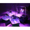 Germination Kit 2 Trays + 2 LEDs Fast Growth