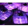 Germination Kit 2 Trays + 2 LEDs Fast Growth