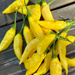 AJI PINEAPPLE