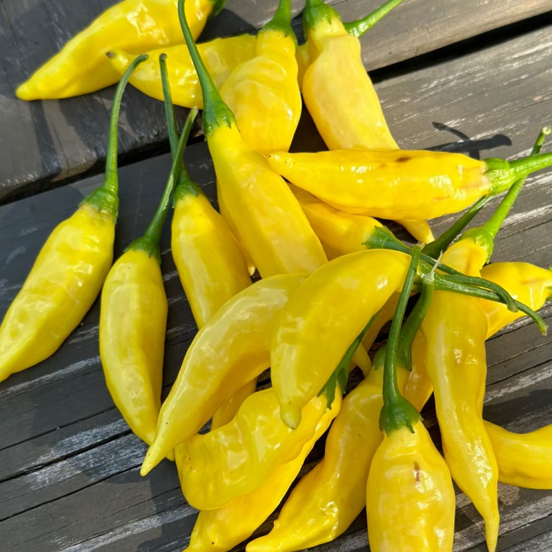 AJI PINEAPPLE