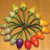 Bolivian Rainbow – A pimenta que é fogo com estilo