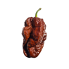 🍫 Naga Tiger Chocolate – Savage heat with exotic flavor