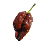 Naga Tiger Chocolate 10 sementes