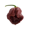 7 Pot Douglah 10 sementes
