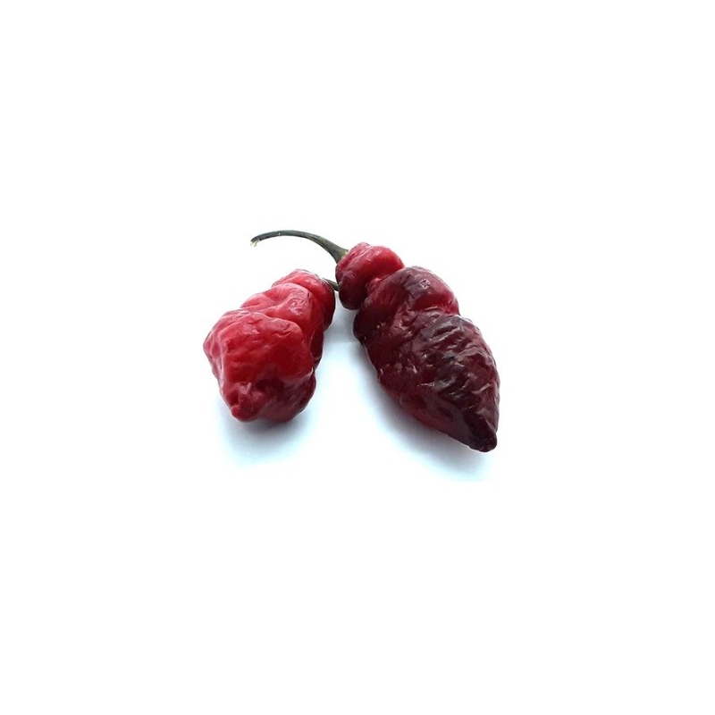 Pink Tiger X Reaper 10 sementes