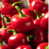 Cherry Bomb 10 sementes