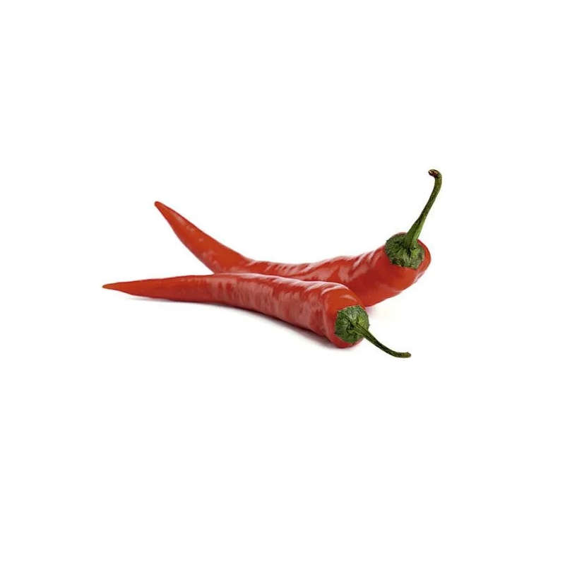 🌶️ Red Chili – Ardência clássica com sabor marcante