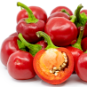 🍒 Cherry Hot – Sabor doce com toque picante
