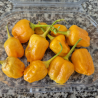 Aji Mango FRESCA 50 gr.