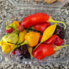 Mix de pimentas FRESCA 50 gr.