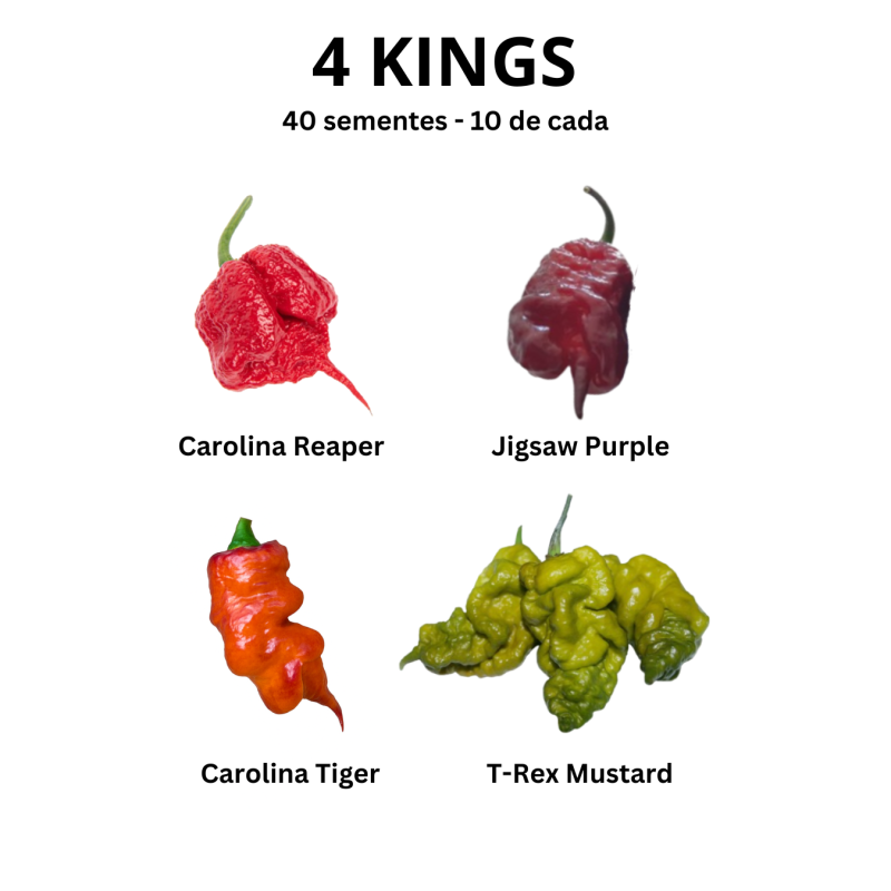 Pack 4 Kings - Carolina Reaper, Jigsaw Purple, Carolina Tiger e T-Rex Mustard