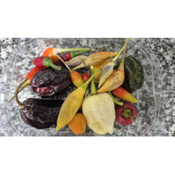 Mix de Pimentas FRESCA 50 gr.