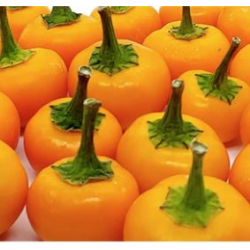 Orange Peppadew 10 sementes