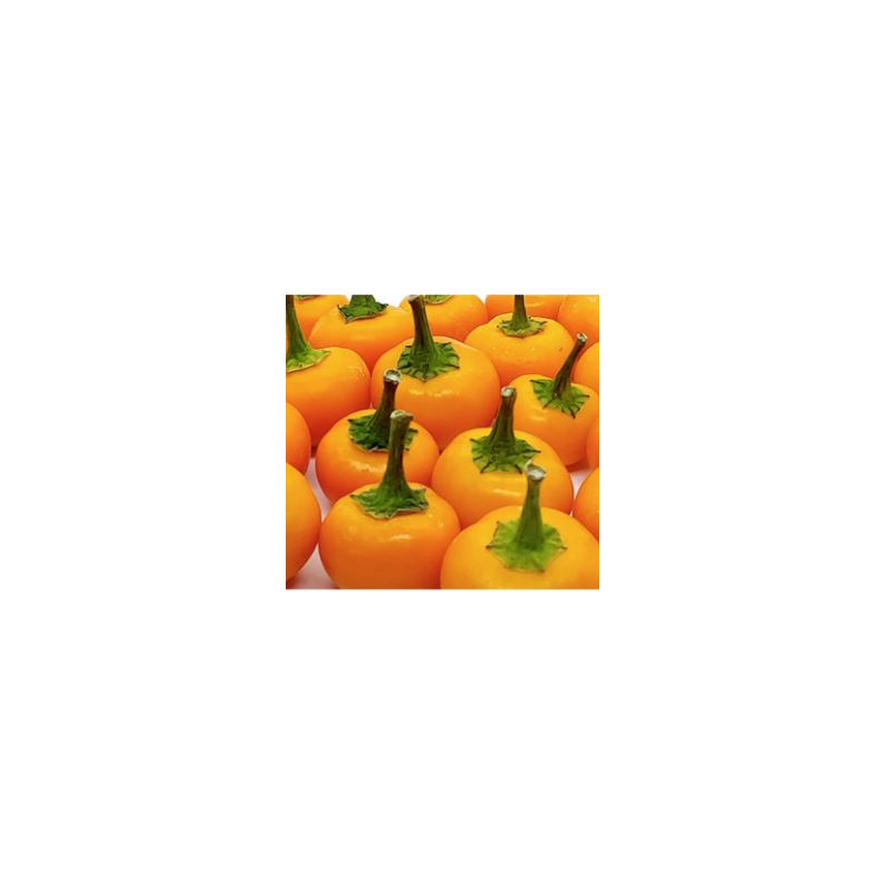Orange Peppadew 10 sementes