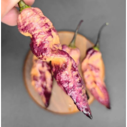 Thanos Pepper: The Cosmic Hybrid of Heat and Color