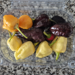 Mix de Pimentas FRESCA 50 gr.