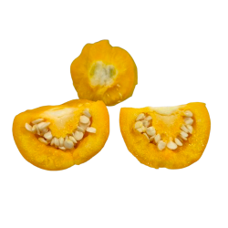 Orange Peppadew 10 sementes