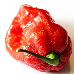 Sweet Moruga 10 sementes