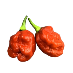 Sweet Moruga: All the Flavor, Without the Burn