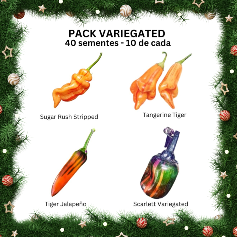 PACK Riscas 4 Variedades: Sugar Rush, Tangerine, Jalapeño e Scarlett