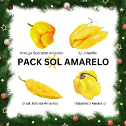 PACK Sol Amarelo: Scorpion, Jolokia, Habanero, Aji 40 sementes
