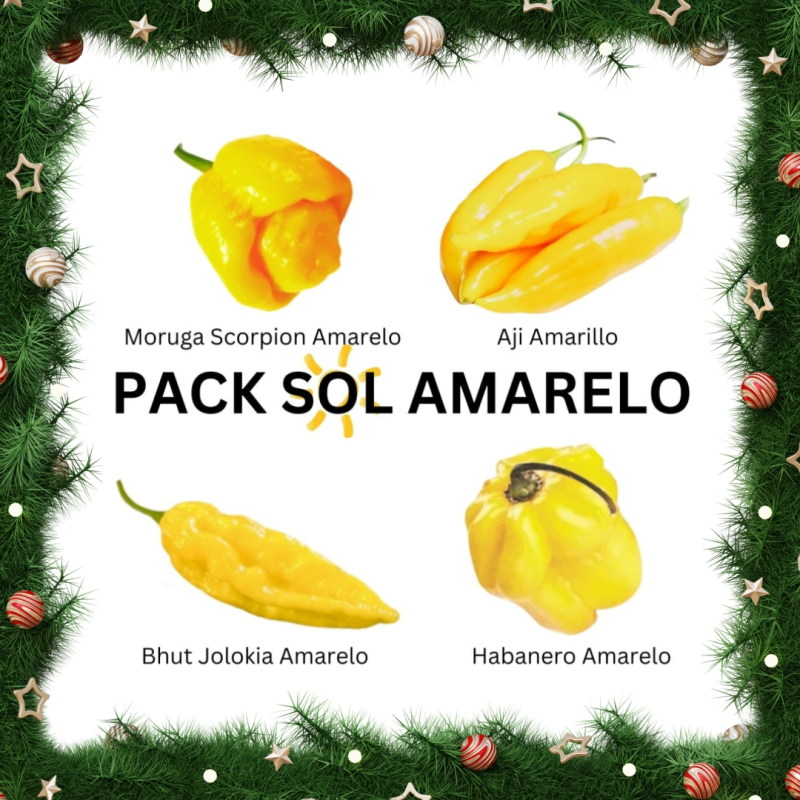 PACK Sol Amarelo: Scorpion, Jolokia, Habanero, Aji 40 sementes