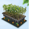 Tapete de germinação (aquecimento)