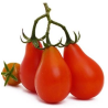 Sementes de Tomate Pêra Vermelho (Red Pear) - 10 Sementes | Picantes.pt