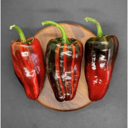 Sweet Blood 10 sementes