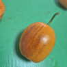 Rocoto Manzano Laranja: as Sementes Negras dos Andes