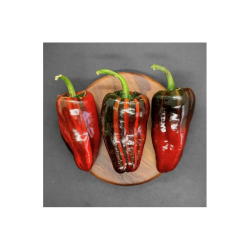 Pimenta Sweet Blood - O Fruto Cor de Sangue Profundo e Brilhante