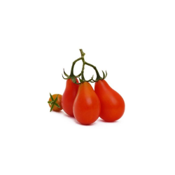 Tomate Pêra (Red Pear)