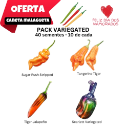 PACK Riscas 4 Variedades: Sugar Rush, Tangerine, Jalapeño e Scarlett