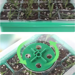 Kit Completo de Germinação