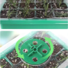 Kit Complet de Germination des Graines | Picantes.pt