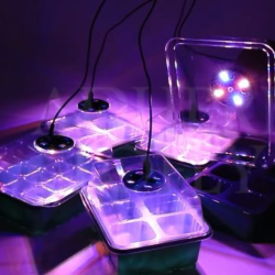 Kit Completo de Germinação