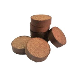 Kit Completo de Germinação