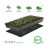 Kit Completo per la Germinazione dei Semi | Picantes.pt