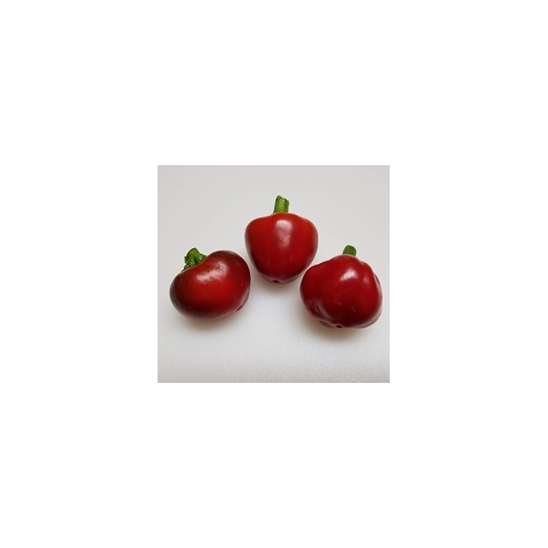 Sementes de Pimenta Tondo Calabrese | Variedade Italiana para Conservas | Picantes.pt