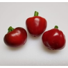 Sementes de Pimenta Tondo Calabrese | Variedade Italiana para Conservas | Picantes.pt
