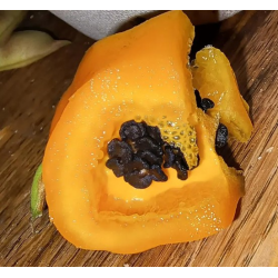 Manzano Rocoto Laranja: as Sementes Negras dos Andes