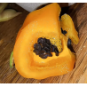 Manzano Rocoto Laranja: as Sementes Negras dos Andes