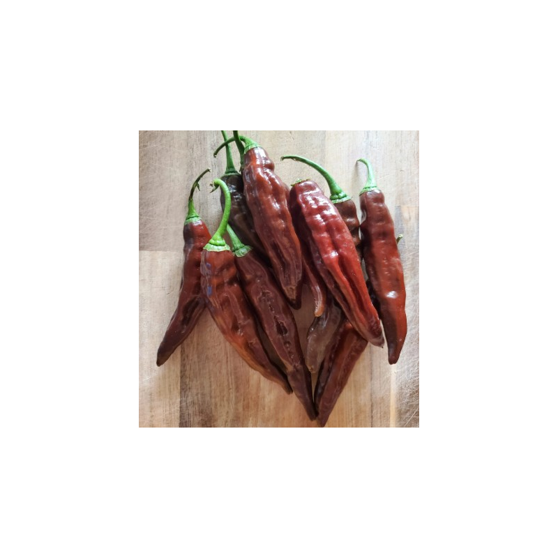 Pimenta Aji Panca do Peru | Sabor Defumado e Calor Suave