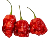 Pimenta Fatalii Gourmet Jigsaw | Calor Extremo na Picantes.pt